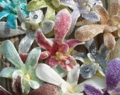 Glitter Bomb Orchid Earrings