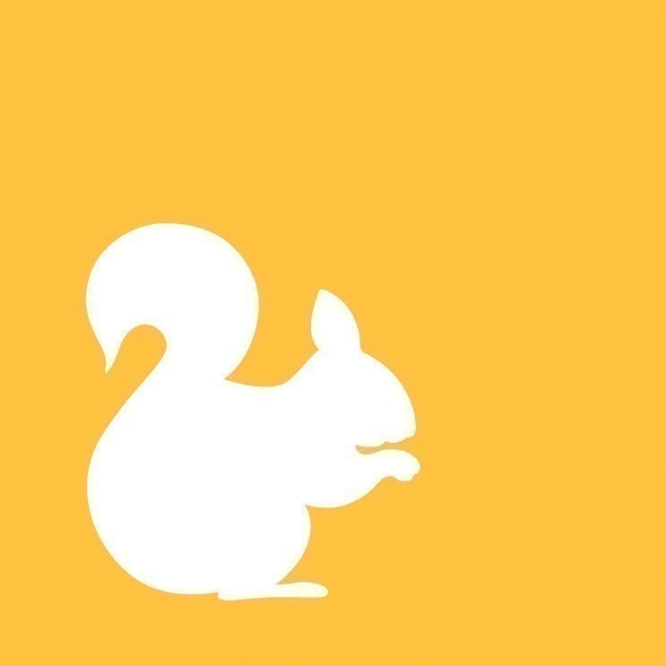 Squirrel - vinyl decal sticker