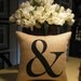 AND pillow