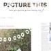 Premade Blogger Template Picture This