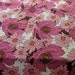 Vintage  Pink Poppy  ROUND TABLECLOTH 1970s