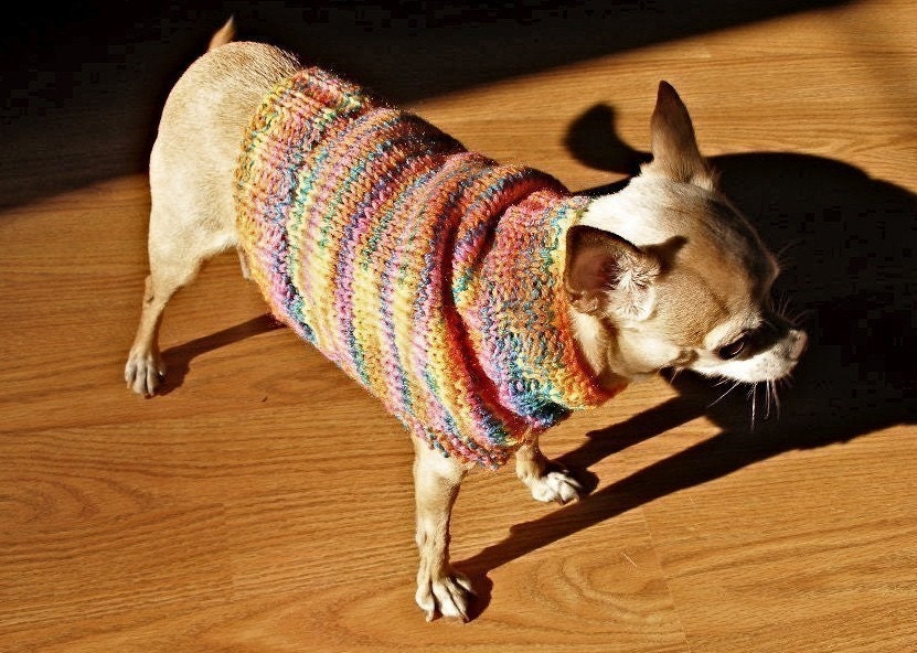 Immediate Download - PDF Knitting Pattern for The Fiesta Dog Sweater