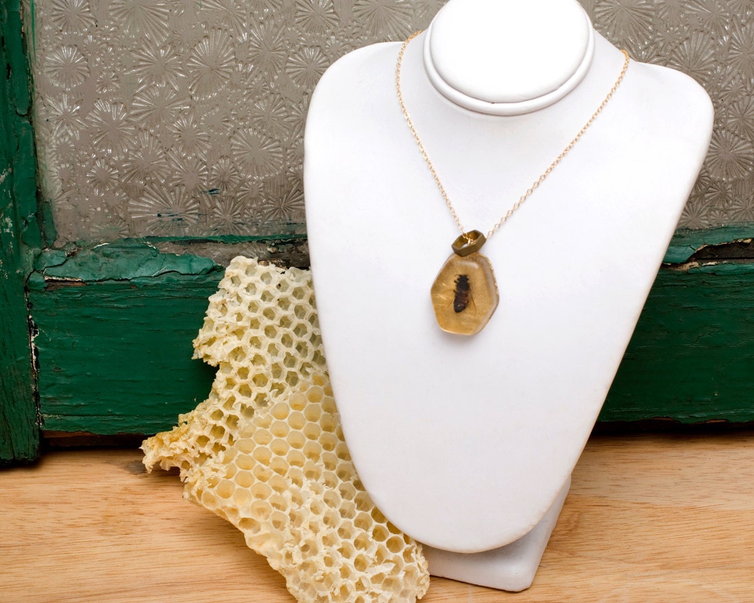 Real Bee Hexagon Necklace, Colony Collapse Jewelry