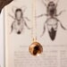 Round Real Bee Necklace, Colony Collapse Jewelry