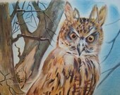 Hector the Great Horned Owl Vintage Original Print Number 491