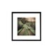 Landscape photography, Forest photography, Enchanted forest, Autumn Decor, Green Decor,  Woodland forest , Print 6x6 (15x15cm)