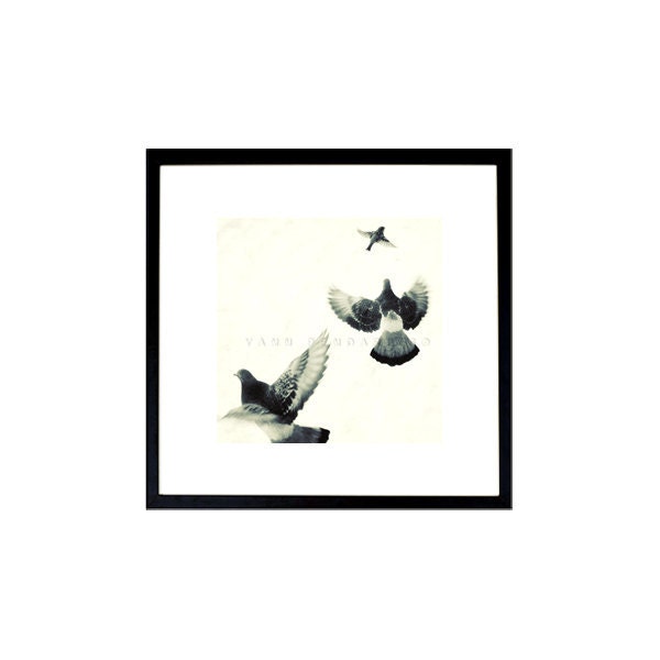 Black and white photography, Winter art, Black and white art, Bird print, Animals art, Birds Flying, Print 6x6 (15x15cm)