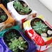 Choose any 3 Planters (Small) and save - PLUS auto upgrade to Express Shipping - Recycled Billboard Banner - Eco-Friendly