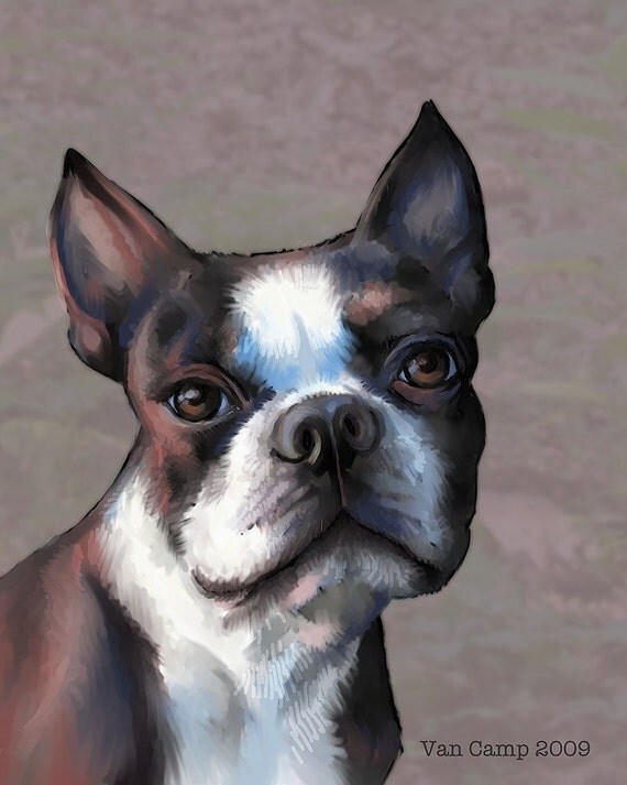 Boston Terrier, 8x10 Print, Dog Art by Susan Van Camp