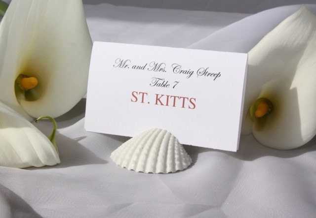 Natural White Arc shell place card holders- set of 100