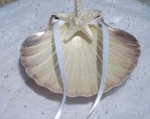 On SALE-Pearlized Scallop Ring Bearer Shell accented with small starfish and White Ribbon-