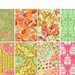 SOUL BLOSSOMS by Amy Butler, The Passion Collection Half Yard Set