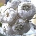 MC GRETCHEN - Whimsical Delights Collection - Brooch bouquet with couture flowers and matching accessories