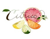 Citrus Watercolor 8x10 Print