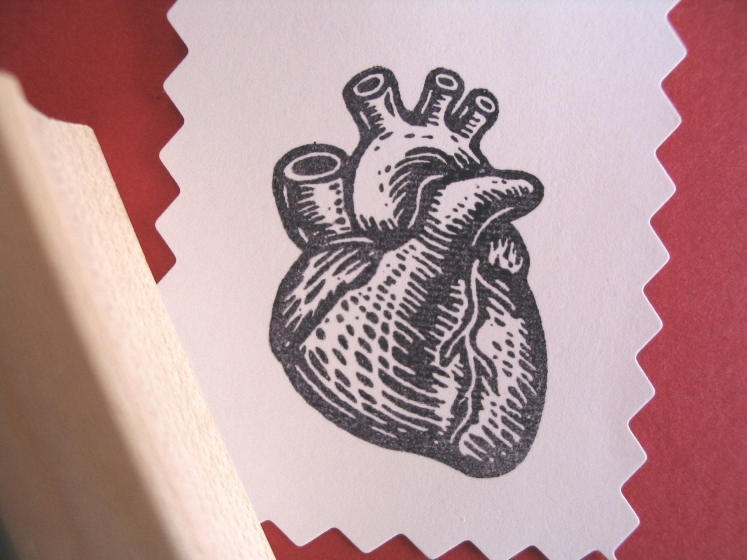 Anatomical Heart Rubber Stamp - Handmade rubber stamp by Blossom Stamps