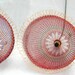 Wire weaved Lampshade in warm colors