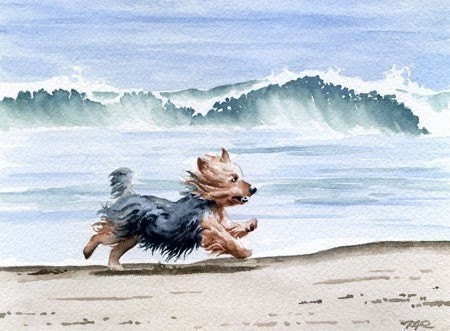 YORKSHIRE TERRIER Art Print Dog Watercolor Signed by Artist DJ Rogers - k9artgallery