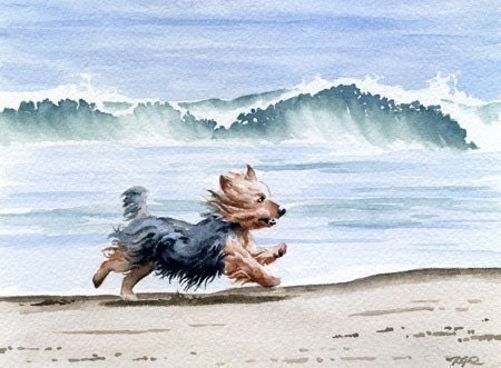 YORKSHIRE TERRIER Art Print Dog Watercolor Signed by Artist DJ Rogers