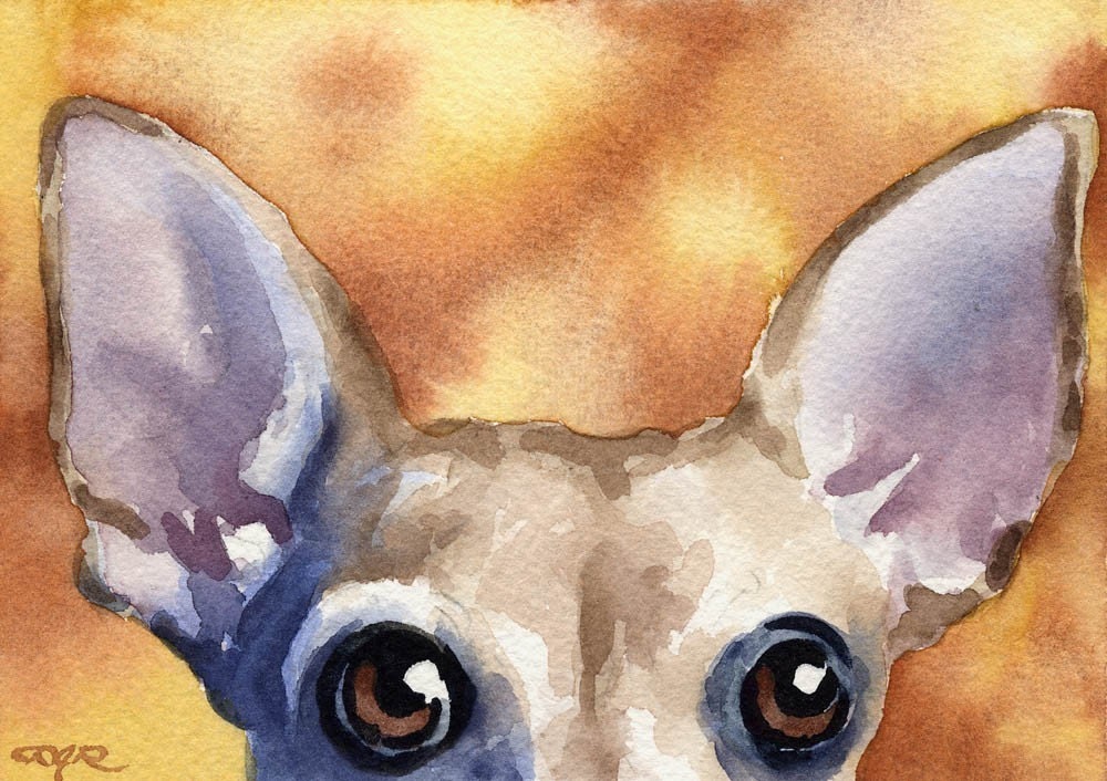 CHIHUAUA Dog Signed Art Print by Artist DJ Rogers
