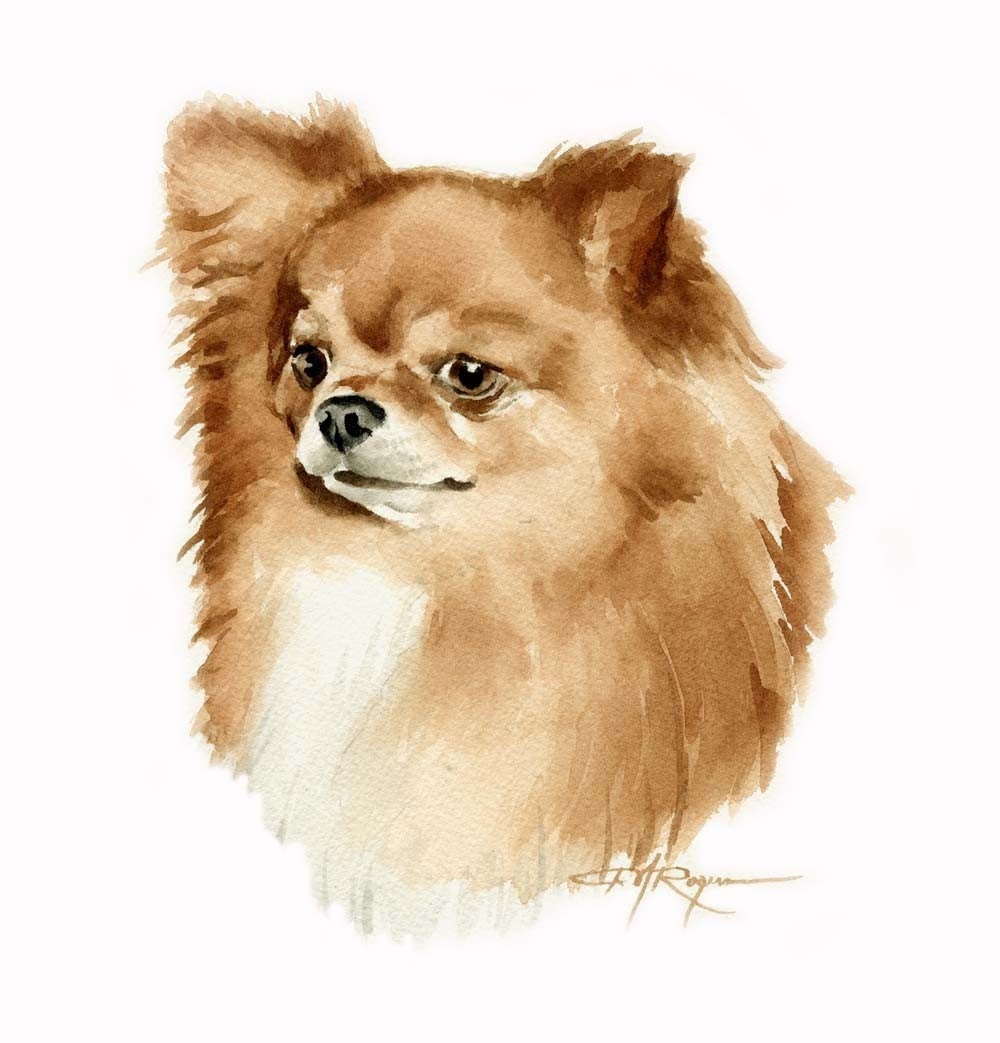 LONG COAT CHIHUAHUA Dog Watercolor Painting ART Print Signed by Artist ...
