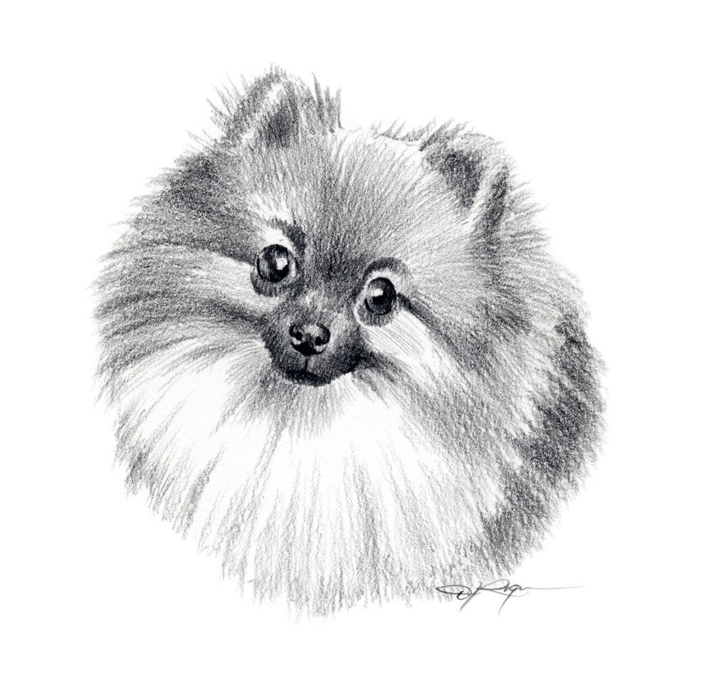 Pencil Drawings Dogs