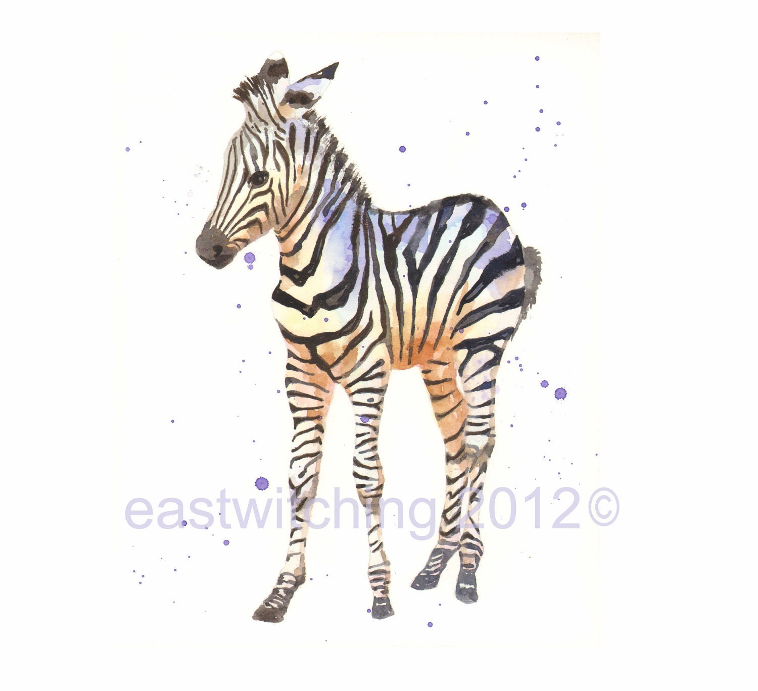 Kids room art, Baby Zebra Print, children art, zebra watercolor, safari animals, whimsical zebra