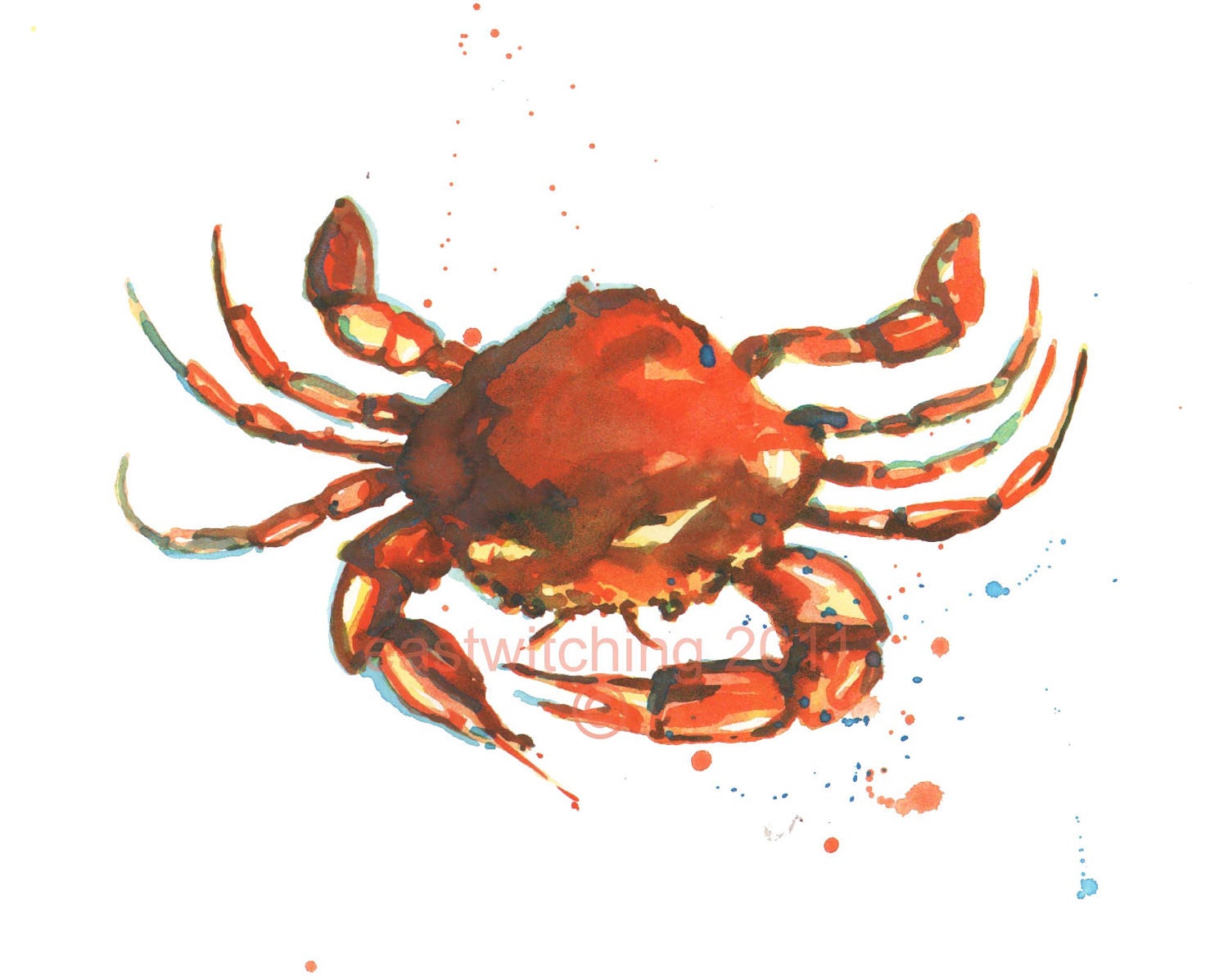 CRAB Print - 8x10 inches - Orange Nipper
