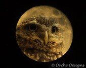 Owl Moon - Textured Digital Art Photo Print