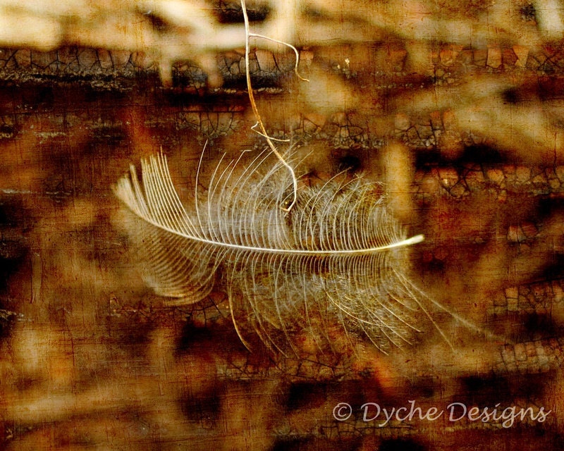 Featherweight Textured Digital Art Photo Print
