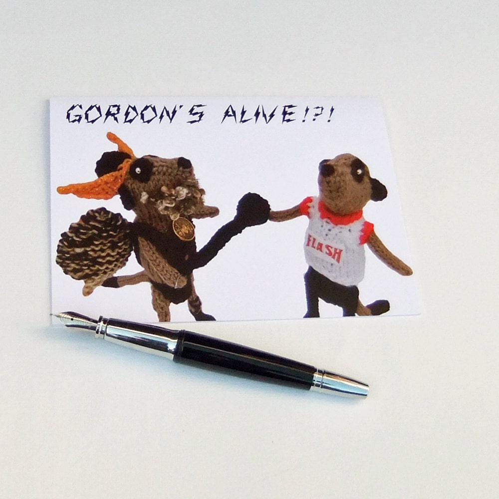 Scifi greetings card, meerkat superhero, Flash Gordon, Prince Vultan, Meerkats action photo