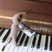 Meerkat pianist, piano player, playing a knitted piano, keyboard, musician, musical, music, meercat