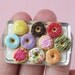 RESERVED FOR JESSIE ---- Happy Donuts - 1/12 miniature