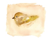 A Bird I Once Knew -  archival print from my original watercolor painting