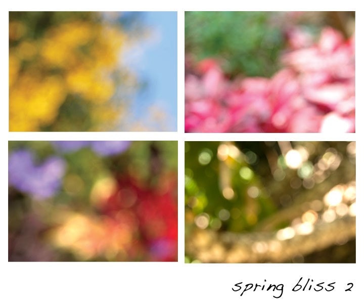 Spring Bliss 2, set of 4 photos