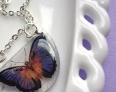Butterfly necklace, resin necklace , purple and orange  ,  specimen series ,violet baby ,lepidopterology,gifts under 30