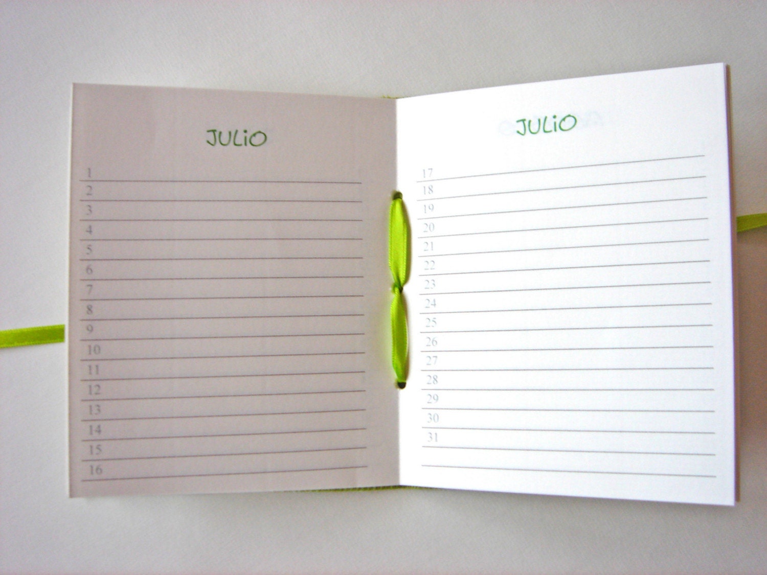 Perpetual Calendar Book in Spanish, Pistachio