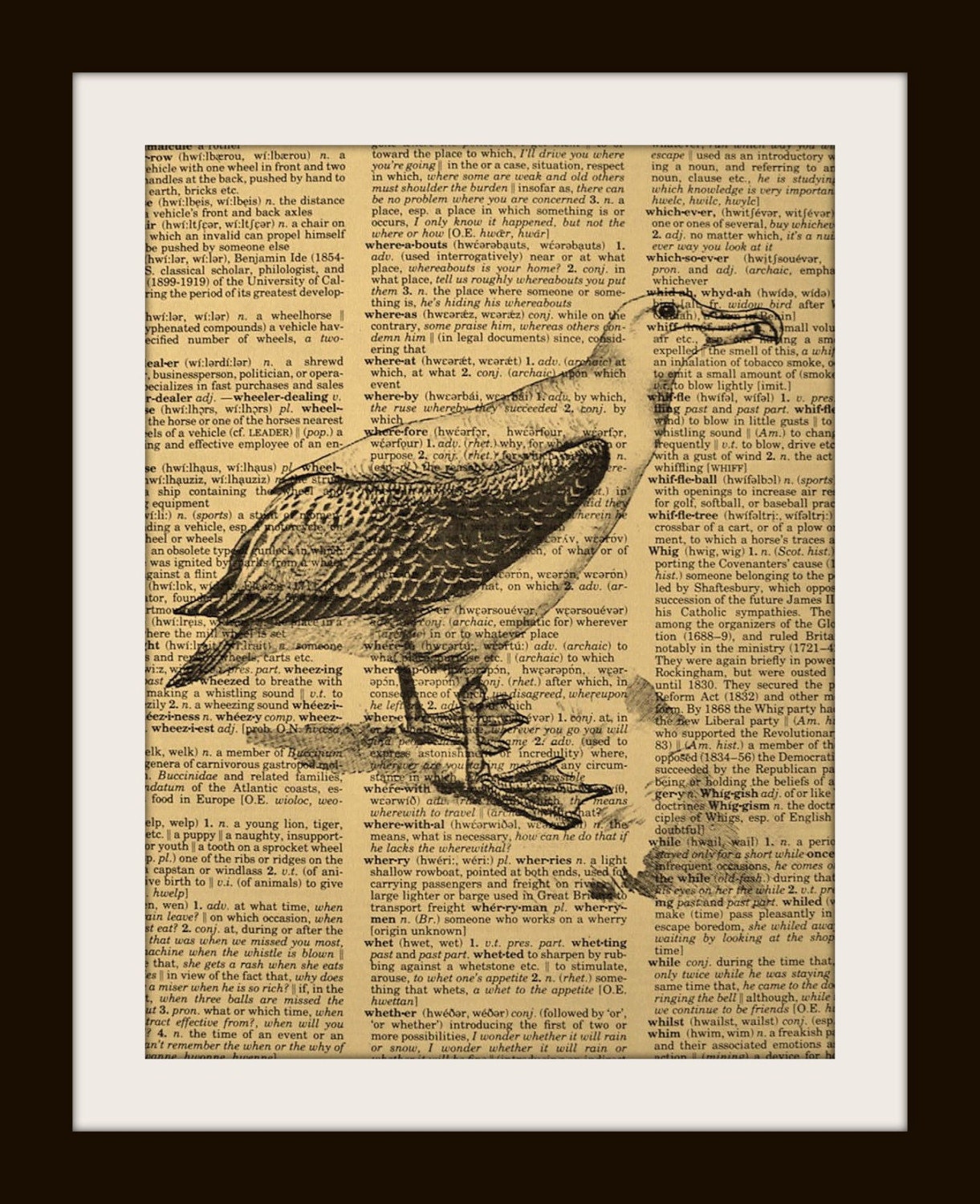 Art Print ALBATROSS 8x10 Dictionary Gold Gilded Vintage Page