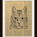 Art Print CAT FACE 8x10 Dictionary Gold Gilded Vintage Page