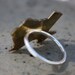 Great State of Texas Brass Ring with Sterling Silver Band