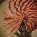 Sealife Seashell Woven Tapestry Cushion Cover Sham