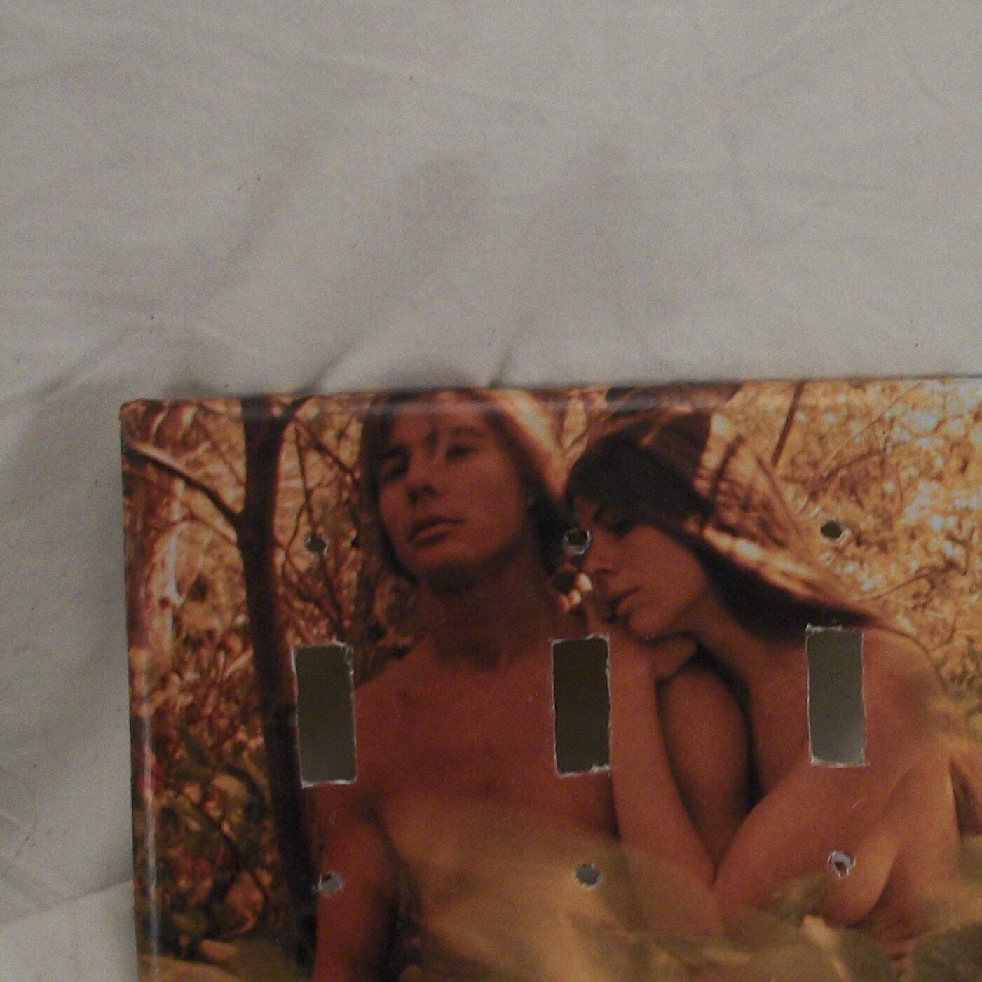 FREE - Hippies Nudists Woodstock Light Switch Cover Triple