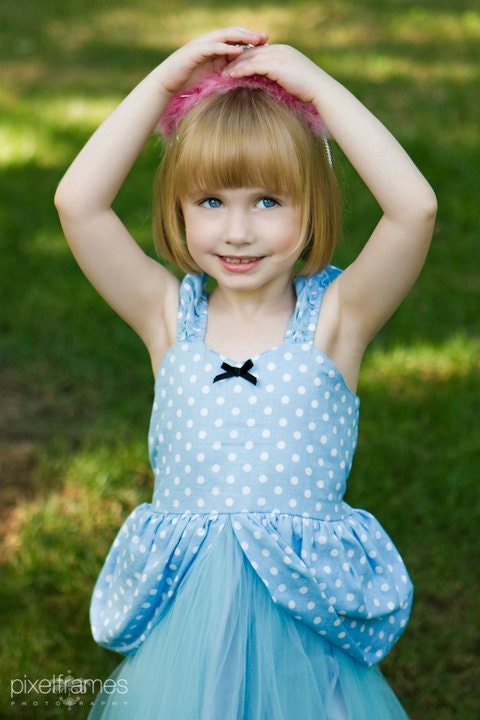 CINDERELLA dress  Princess TUTU dress or halloween costume