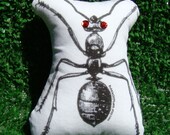 Varmint Voodoo Ant Edition