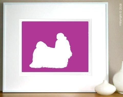 Mod Shih Tzu Fine Art Print