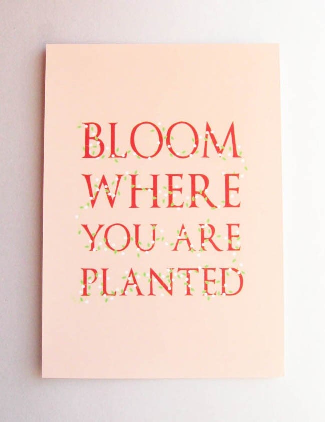 Bloom Where You Are Planted