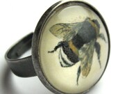 Vintage Bee Ring