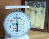 Vintage American Family Kitchen Scale
