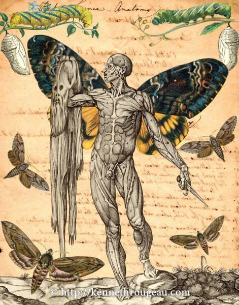 Metamorphosis - 11x14 Surreal Fantasy Collage Fine Art Print
