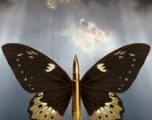 Bullet With Butterfly Wings - 11x14 Surreal Fantasy Fine Art Digital Collage Print