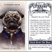 Literary Pets Card Set
